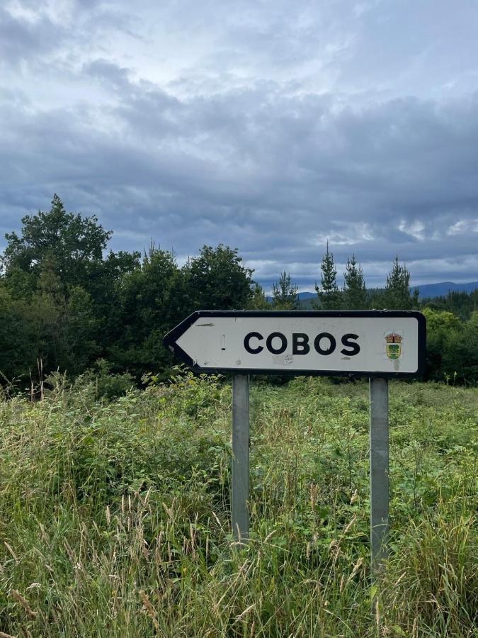 Apartamento Felicitas En La Casa De Cobos, Ribeira Sacra Побра-До-Брольон Экстерьер фото